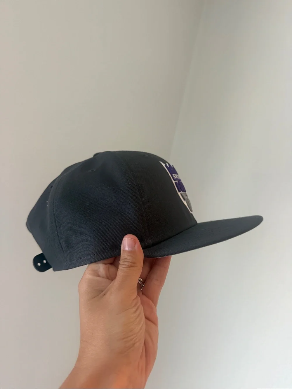 Sacramento Kings Grey Snapback Hat